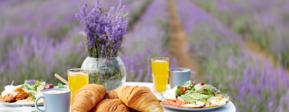 Genussreisen Frankreich Genussreisen Frankreich