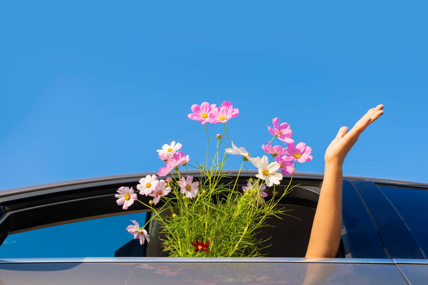 Fit & Vital Reisen - Wellness- und Erholungsreisen 