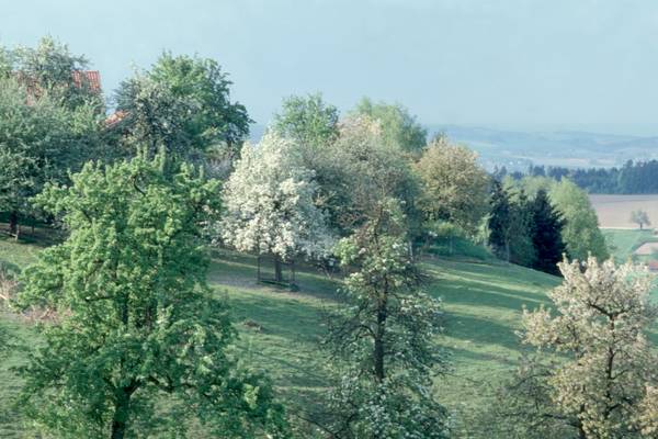 Thermenreisen von Fit & Vital Reisen in Sueddeutschland