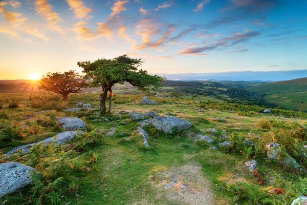 England, Dartmoor